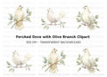 Dove Clipart Bundle