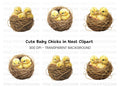 Cute Baby Chicks in Nests Clipart Bundle