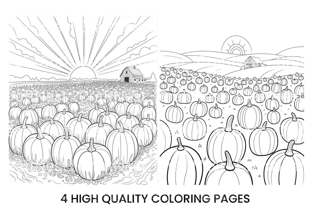 Sunrise Over Pumpkin Field Coloring Books