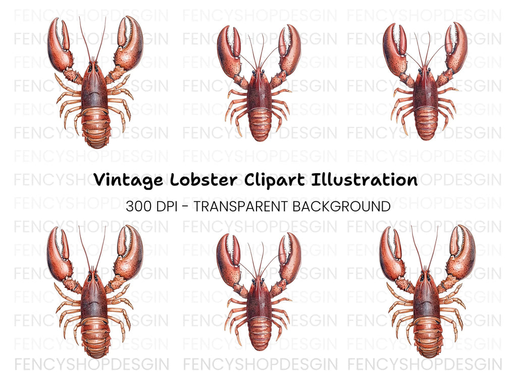 Detailed Brown Lobster Clipart Bundle