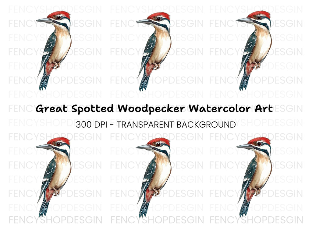 Vibrant Woodpecker Clipart Bundle