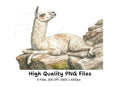 Llama on Rocks Clipart Bundle