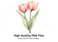 Pink Tulip Flower Clipart Bundle