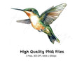 Ruby Throated Hummingbird Clipart Bundle