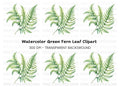 Fern Leaf Clipart Bundle