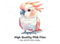 Cute Pink Cockatoo Clipart Bundle