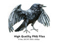 Crows with Open Wings Clipart Bundle