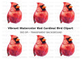 Vibrant Cardinal Clipart Bundle