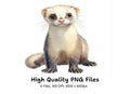 Cute Ferret Clipart Bundle