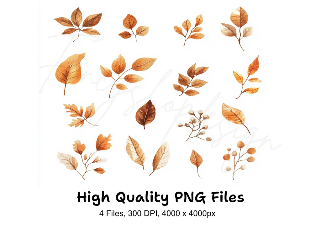 Autumn Leaves Clipart Bundle