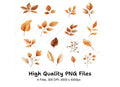 Autumn Leaves Clipart Bundle