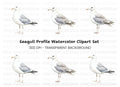 Seagull Side View Clipart Bundle