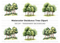 Forest Tree Group Clipart Bundle