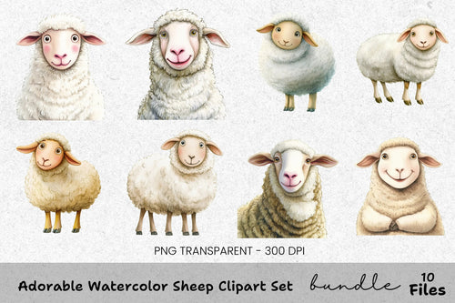 Adorable Sheep Clipart Bundle