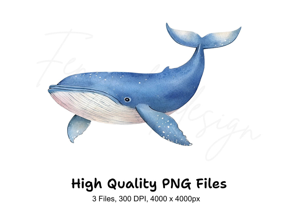 Blue Whale Ocean Clipart Bundle