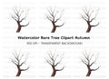 Bare Tree Branches Clipart Bundle