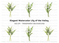 Lily of the Valley Clipart Bundle