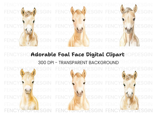 Adorable Palomino Foal Clipart Bundle