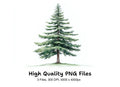Pine Tree Clipart Bundle