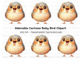 Happy Baby Bird Clipart Bundle