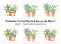 Succulent Plants Clipart Bundle