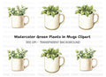 Potted Plants in Mugs Clipart Bundle