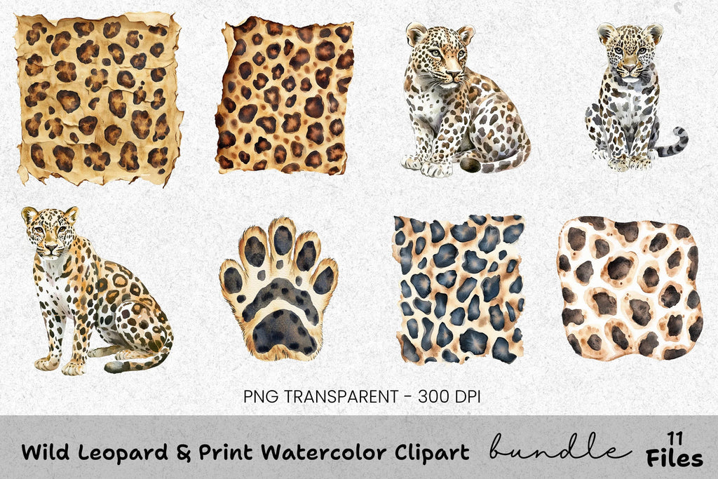 Wild Leopard Clipart Bundle