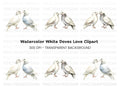 White Dove Pair Clipart Bundle