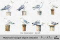 Seagull Clipart Bundle