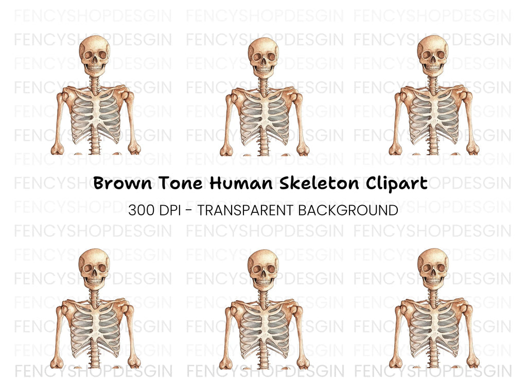 Human Skeleton Anatomy Clipart Bundle