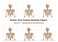 Human Skeleton Anatomy Clipart Bundle