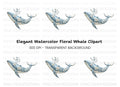 Elegant Blue Floral Whale Clipart Bundle