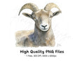 Bighorn Sheep Portrait Clipart Bundle