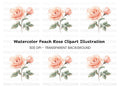 Elegant Peach Rose Illustration Clipart Bundle