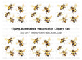 Flying Bumblebee Illustrations Clipart Bundle