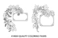 Autumn Leaves and Berries Frame Coloring Books