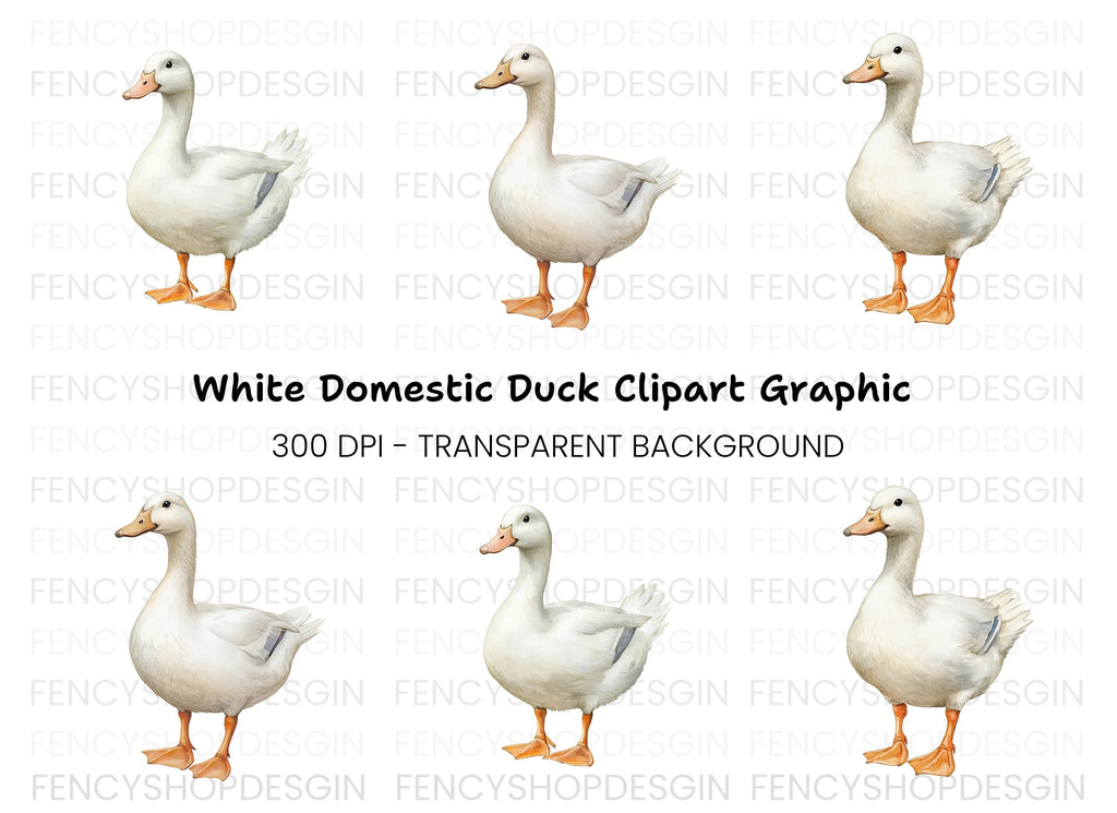 White Duck Clipart Bundle