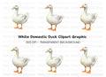 White Duck Clipart Bundle