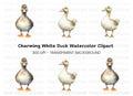 Cute Duck Clipart Bundle