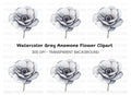 Anemone Clipart Bundle