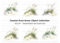 Beach Dune Grass Sand Clipart Bundle