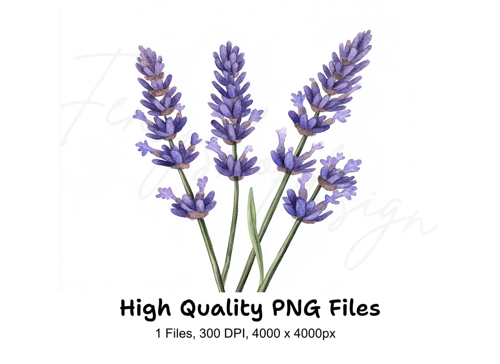 Beautiful Lavender Sprigs Clipart Bundle