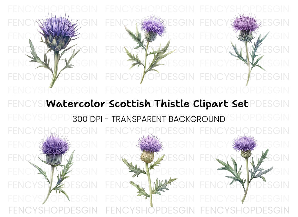Scottish Thistle Flower Clipart Bundle