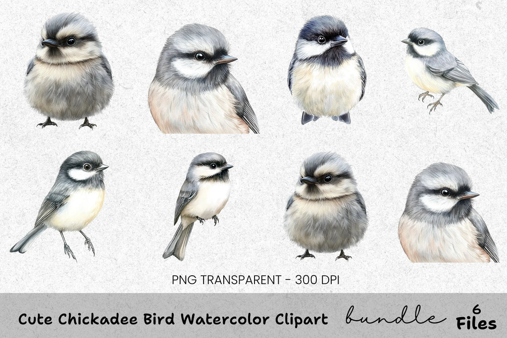 Cute Chickadee Bird Clipart Bundle