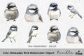 Cute Chickadee Bird Clipart Bundle