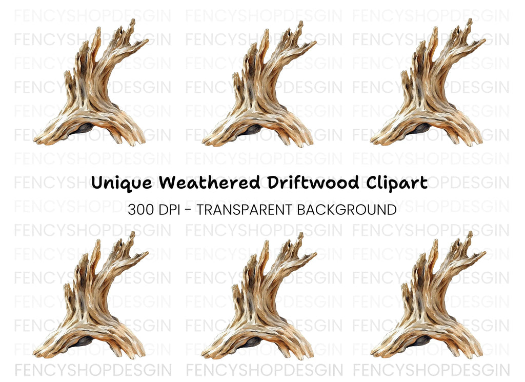 Rustic Driftwood Branch Clipart Bundle