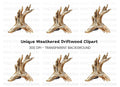 Rustic Driftwood Branch Clipart Bundle