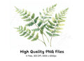 Delicate Fern Clipart Bundle