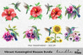 Vibrant Hummingbird Blossom Clipart Bundle