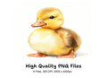 Cute Fluffy Duckling Clipart Bundle
